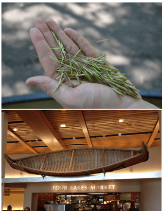 screen-shot-2016-09-27-at-2-19-53-pm